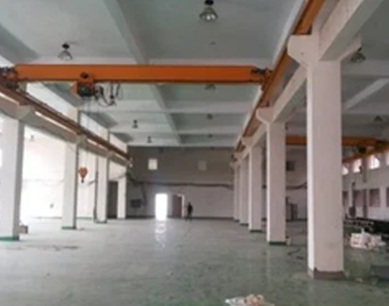 EOT Crane Low Head Room Manufacturer in Greater Noida